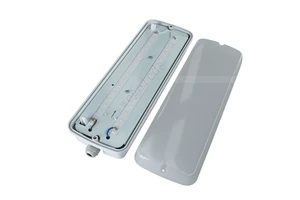 Outdoor T8 LED Triproof IP66 1ft 300mm 0.3m Light Fixture 6000K Clear PC Cover Vapor Tight Waterproof Emergency Lighting