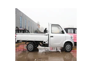 China Factory Direct Sale Electric Mini Pick up Truck New Energy Mini Electric Truck
