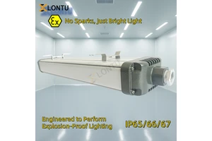 IP65 20W 40W 60W Aluminum Explosion Proof LED Linear Light for Dangerous Places AC 220V 100000 Hours Lifespan