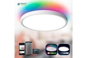 2025 New Smart Tri-proof IP44 Waterproof Led Ceiling Lights 3CCT Slim Body 18W 24W 30W LED Ceiling Lights for Bedroom