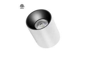 Master D IP65 Series LED Downlight Modern White Black Housing Lens COB CRI90 Pendant Light for Outdoor Canopy Airport Bathroom