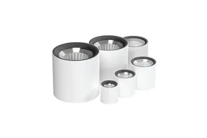 Morden Design Smart Triac 0-10V Dimmable COB LED Downlight 30W Surface Mounted Hotel Corridor Lighting 220V Available 3000K