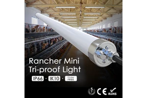 Shinelong Rancher Mini Slim 40mm Diameter LED Triproof Light 10W 20W 30W Compact IP66 Linear Luminaire 0.6m 1.2m 1.5m