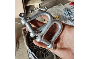 European Type Galvanized Carbon Steel Electronic DEE Shackle D Shackles for Mining and Heavy Industry
