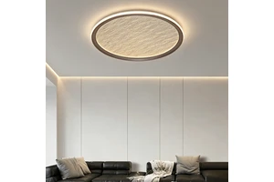 Modern Design Indoor Decorative LED Ceiling Lamp Surface Mount Acrylic+Iron Simple Bedroom Living Room Lamps
