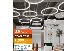 RONSE Modern Minimalist Snake Shape LED Curved Linear Light Creative Pendant For Office Supermarket Gallery Wall Aluminum Lamp