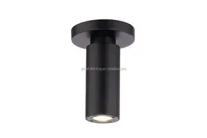 Hot selling industrial black metal low ceiling lamp for living room exhibition hall bar garden aisle decor brass spotlight