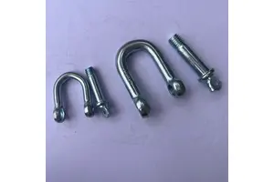Hot Sale 25mm Galvanized Shackle Screw Pin Shackle