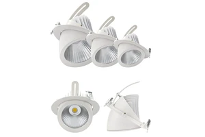 RONSE 12W Cob Anti-Glare Commercial LED Downlight 180MM Modern Design Stretch Elephant Trunk for Hotels and Restaurants