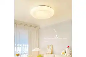 Modern Design Style Home Living Room Bedroom Decoration Nordic Creative Ceiling Lamp