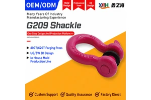 High Quality Alloy Stainless Steel 304 Steel Hot Dip Galvanized D Shackle Bolt Type Bow Shackle Durable Rigging Lifting Shackle