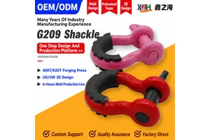 Custom Oem Stainless Steel 316 Screw Pin Bow Shackle Anchor Shackle Marine Grade Shackle