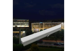 Waterproof Aluminum IP65 Surface Mounted LED Linear Exterior Light for Architecture Facade Outdoor Led Linear Light