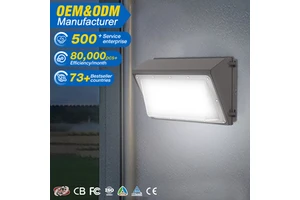 Creative Garden Courtyard Decorative Outdoor Ip65 Waterproof 60w 100w 120w Led Wall Mount Lamp