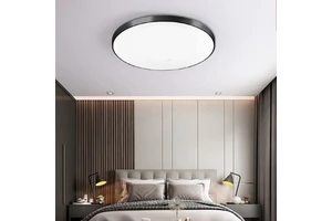 China Round Decoration AC 165-265V Led Ceiling Hanging Nordic Modern Pendant Lights