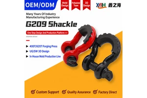Wholesale Carbon Steel Hot Dip Galvanized D Shackle Bow Shackle Bolt Type Durable Shackle