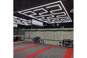 Manufactory Aluminum Housing High Brightness S-shaped Car Garage Light Ceiling Detailing Lights