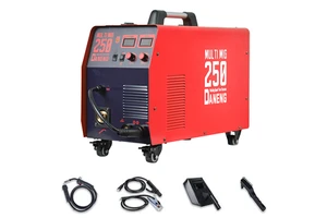 Portable 110V/220V High Power DC Inverter IGBT MIG Welding Machine for Steel and Cast Iron 250A DANENG MIG-250