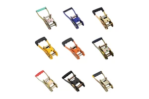 Factory Custom 1" 1.5" 2" 3" 4" Multifarious Steel Metal Heavy Duty Plastic Aluminum Handle Ratchet Buckles