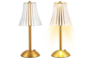 Rechargeable LED Table Lamp with Iron Base Transparent PP Lampshade Type-C Cordless Bedside Light for Bedroom