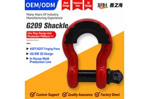 Wholesale Drop Forged Alloy Steel Anchor Shackle Bow Shackle Screw Pin Heavy Duty Shackle