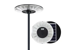 Factory Directly Selling Integrated Ip65 Solar Garden Lamp Waterproof 10w 20w 30w 40w 50w 80w 100w 120w Solar Light Garden Led