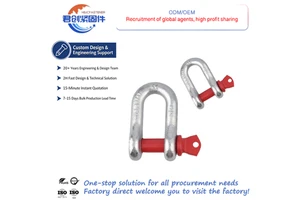 Project Solution Factory Direct Industrial Galvanized Carbon Steel Bow Shackles 4.75 Ton D Shape For Mining Applications