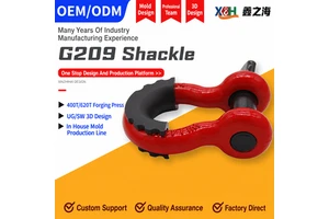 Premium Alloy Steel Hot Dip Galvanized Safety Pin D Shackle Bow Shackle High Strength Shackle