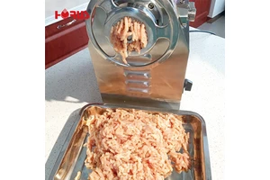 Horus Heavy Duty Commercial Electric Meat Grinder/Mincer 350kg/h Capacity 110V/220V Stainless Steel 1 Year Warranty 59x54x31cm