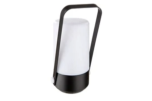 Decorative Light with Warm White LED