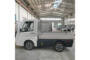 Mini Electric Truck Multi Usage for Delivery Pick up