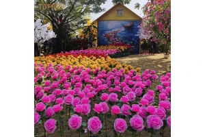 2025 Outdoor 12V LED Stand Flower Lights Artificial Garden Decorative Lighting for Wedding Theme Park Landscape Lighted Flower