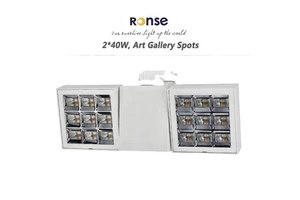 RONSE LED Commercial Spotlight Square Exhibition Showcase Art Gallery Lighting Track Spotlight Led 2*40w Adjust Spotlight