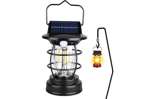 Vintage Solar Powered Induction Light
