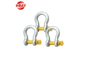 G209 Stainless Steel Dee Shackles Heavy Industry Lifting Equipment Galvanized US Type From Handan Manufacturer