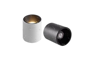 Morden 10W 20W LED Antiglare Cylinder Downlight Surface Mounted IP65 Cob Outdoor Ceiling Spot for Modern Home
