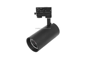 LED Exhibition Spot Light Gallery Museum Lighting CRI 80 30W IP44 Accent Track Light 15-60 Beam Angle Artwork Display