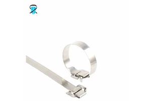 Industrial Stainless Steel Tie Buckle 300mm Electrical Cable Tie Buckle