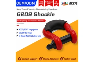 Heavy Duty Alloy Steel Drop Forged Screw Pin Anchor Shackle Ce Certified Bow Shackle High Strength Shackle