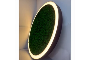 Modern Design Custom Size Green Moss in the Middle Round Shape Pendant Linear Light