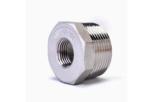 Stainless Steel Thread NPT BSP Hexagonal Nipple Fitting Pipe Hex Bushing