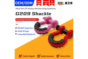 Custom Oem Alloy Steel Hot Dip Galvanized Bolt Type D Shackle Bow Shackle High Strength Shackle