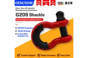 Heavy Duty Drop Forged Stainless Steel Bow Shackle Anchor Shackle Screw Pin Offshore Shackle