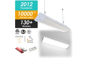 Vietnam Factory Outlet 40W 30W 20W 10V Dimmable Indoor Office LED Stairwell Light Fixture for Staircase
