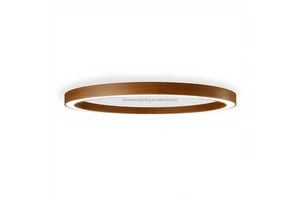 Retro Wooden Finish Housing LED Oval Circular Lamp Curved Linear Light Ceiling Wall Light Fixture for Home Lightings