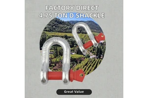 Wholesale Steel Wire Rope Shackles G2130 with Nuts, High-strength Lifting Lock Shackles
