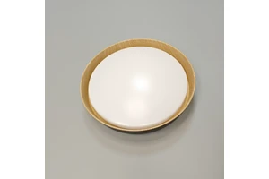 Nordic Minimalist Iron Art Wood Grain LED Ceiling Light Indoor Home Lighting Circular Decorative Ceiling Lamp