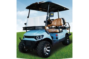Hot Pick 4 Seater Electric Golf Cart 60V/72V 3.5-5KW Motor High Quality for Golf Course Scenic Spots