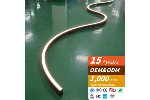 RONSE Architectural Residential 30W Aluminum Alloy Suspended Lighting Custom Linear Light Curved Shape Modern Minimalist IP20