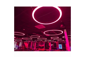 CE Approved Suspending Multi-color Round Led Pendant Linear Light with Different Shell Colors